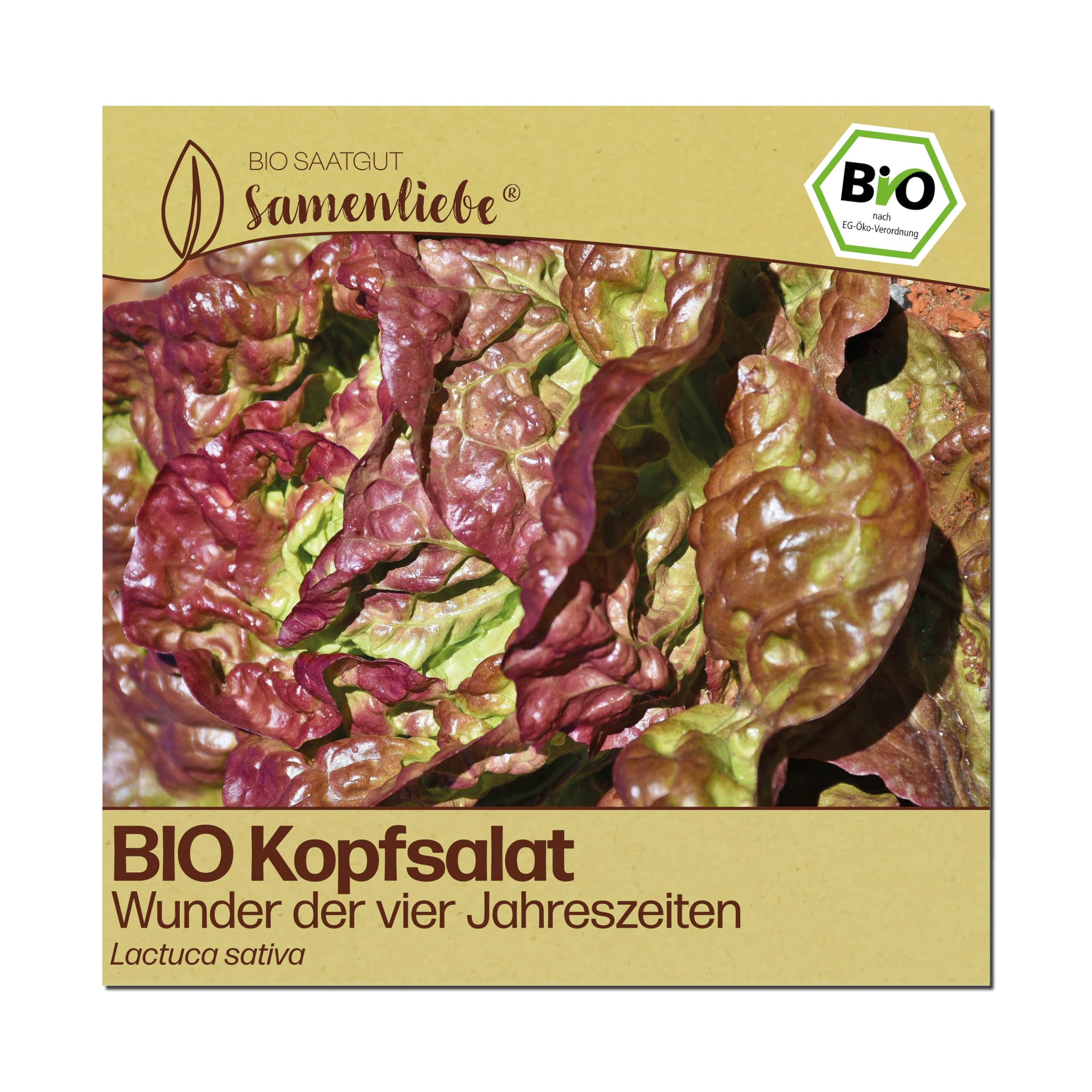 Samenliebe BIO Kopfsalat Samen | Salat Wunder der vier Jahreszeiten - rot & groß - samenfestes BIO Saatgut