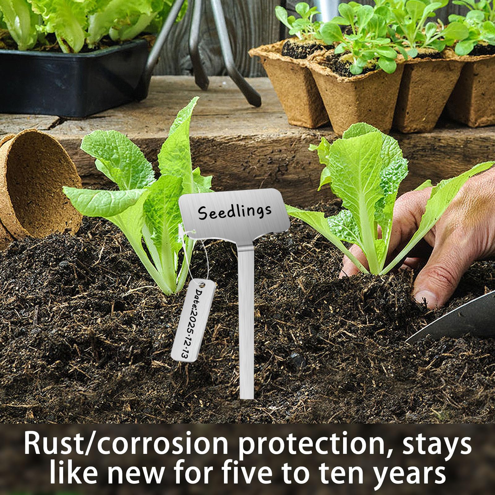 Marqueurs de plantes en acier inoxydable 304, 20 piquets en métal étanches avec 20 boucles d'étiquettes et un marqueur, marqueurs de jardin de 32,4 cm pour identification des plantes