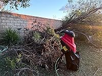 Review Image by Frank the Tank Frank the Tank