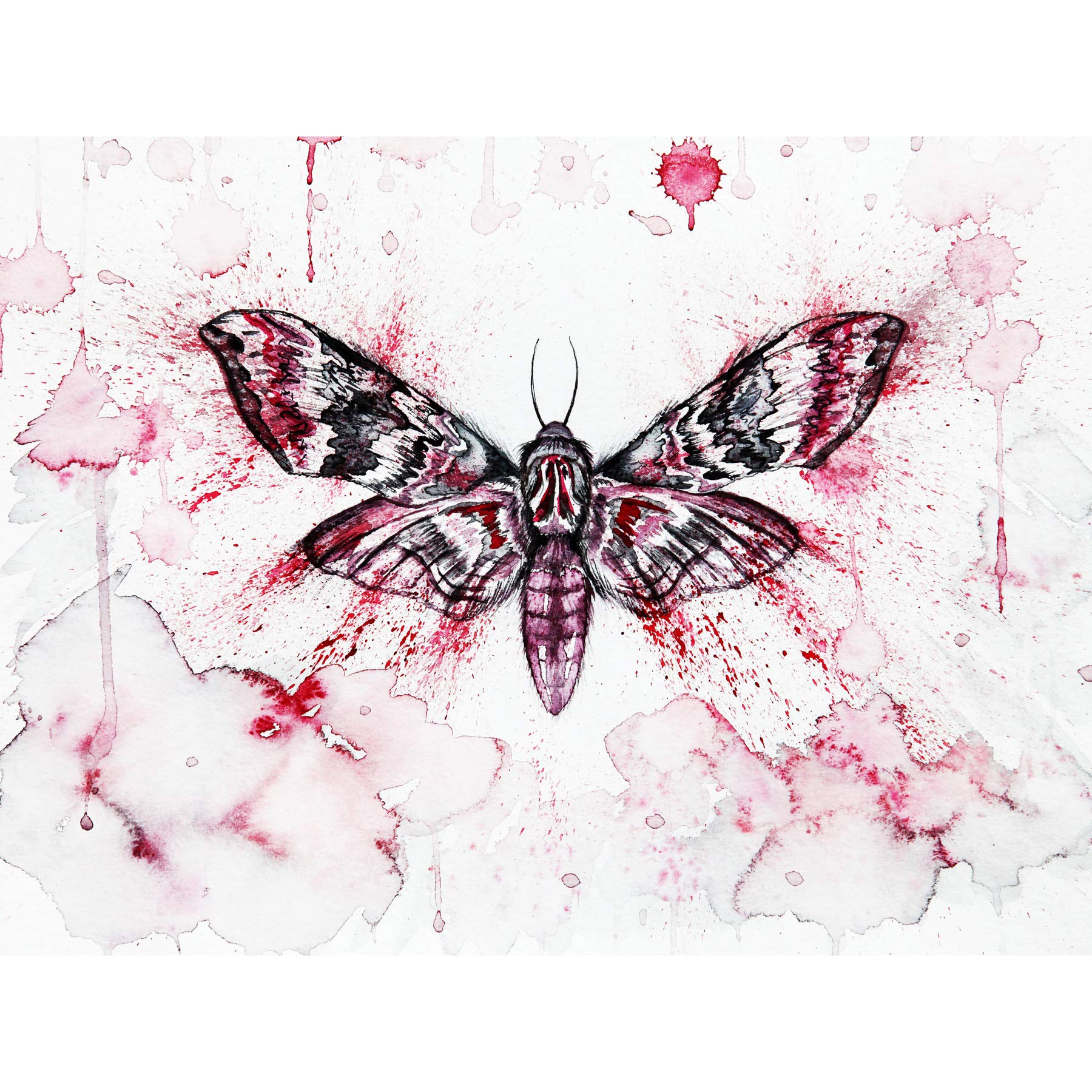 Artery8 Red Moth Wings Insect Watercolour Painting Large Wall Art Poster Print Thick Paper 18X24 Inch