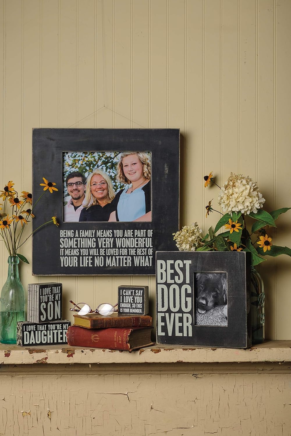 Primitives by Kathy 19136 Photo Box Frame, 10" x 10", Best Dog Ever