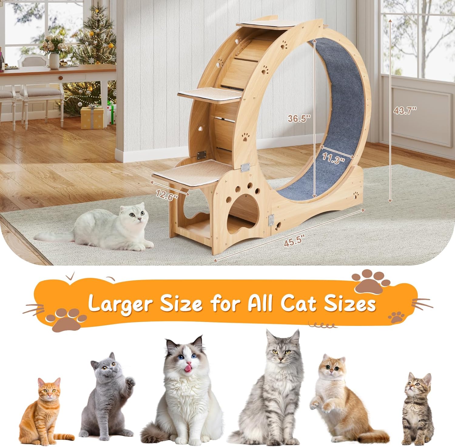 Cat Wheel 5-in-1 Upgraded Exercise Treadmill for Indoor Cats，Cats Treadmill with Silent Running,Tunnel,Wheels for Indoor