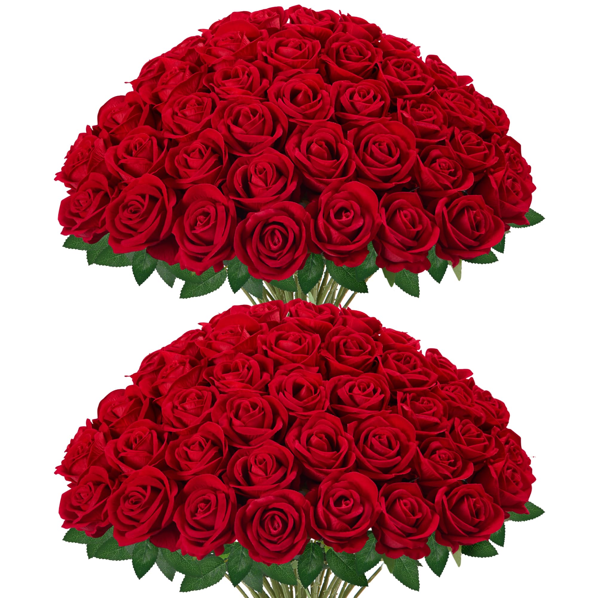 InnoGear 50 Pack Red Roses