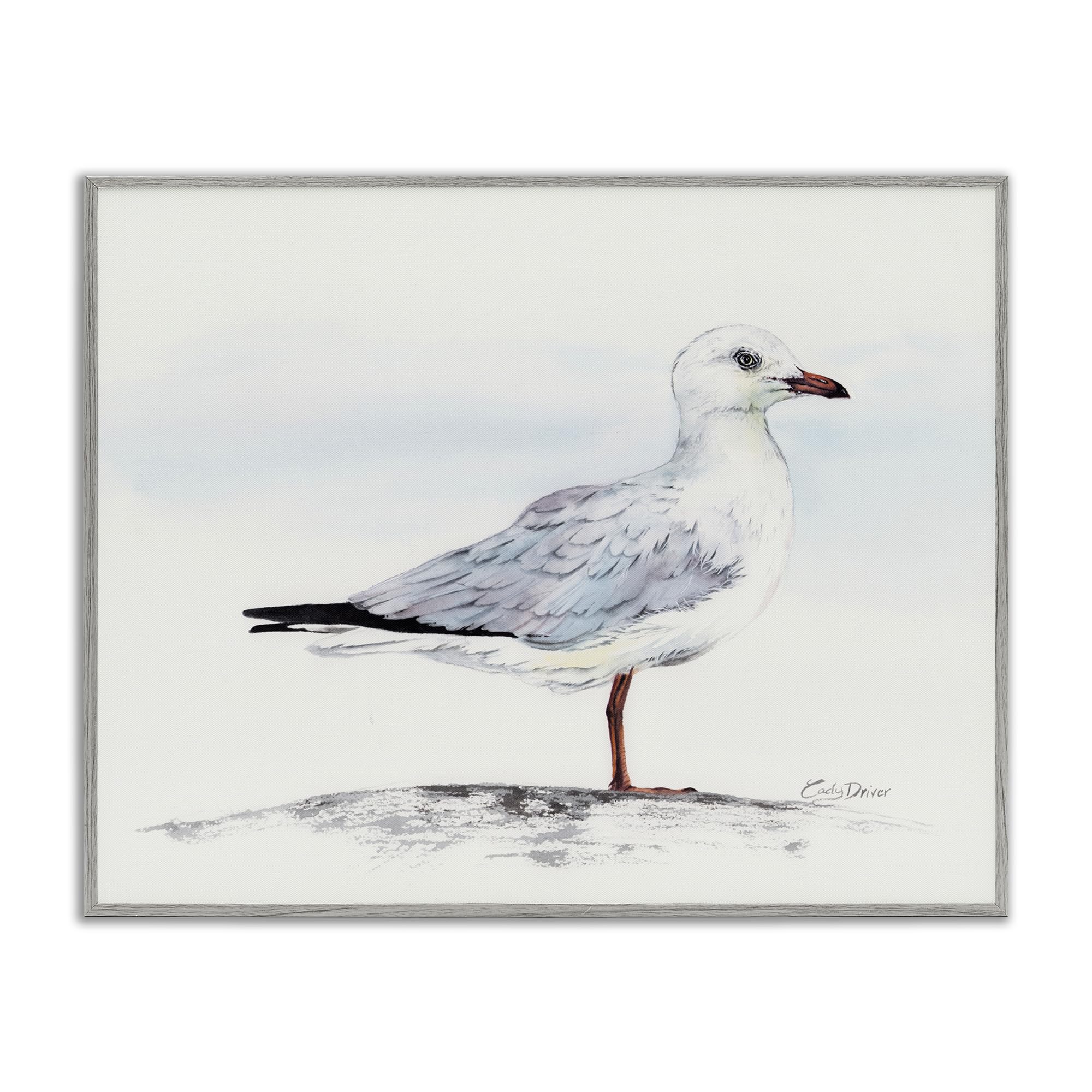 Stupell Industries Seagull On Sand Portrait Black Framed Giclee Art, design by Cady Driver, 16 x 20