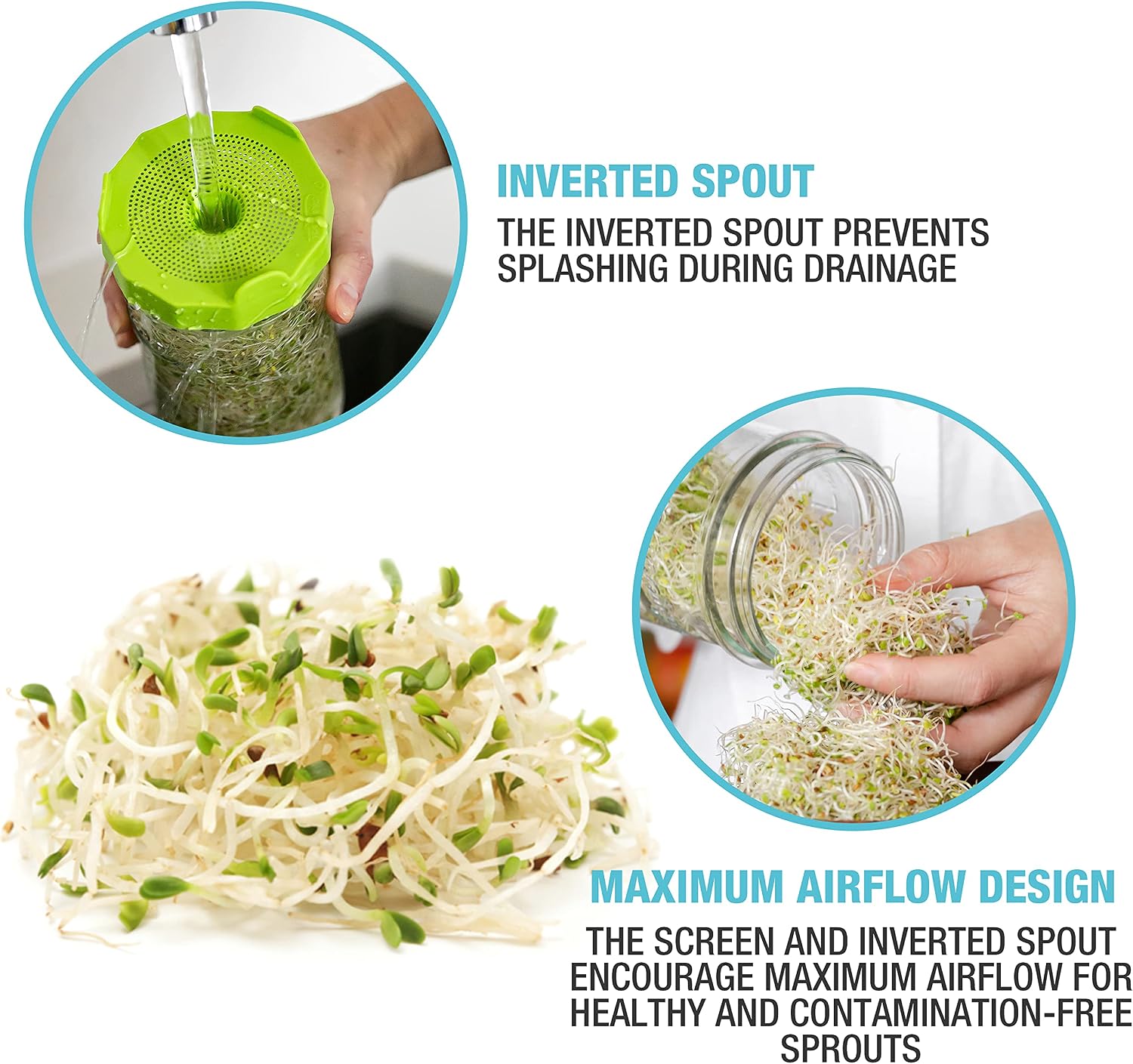 Masontops Mason Jar Bean Sprouting Jar Starter Set - Easy DIY Bean Sprout Kit with Organic Seeds, Sprouting Lids, Complete Bean Sprouts Grow Kit