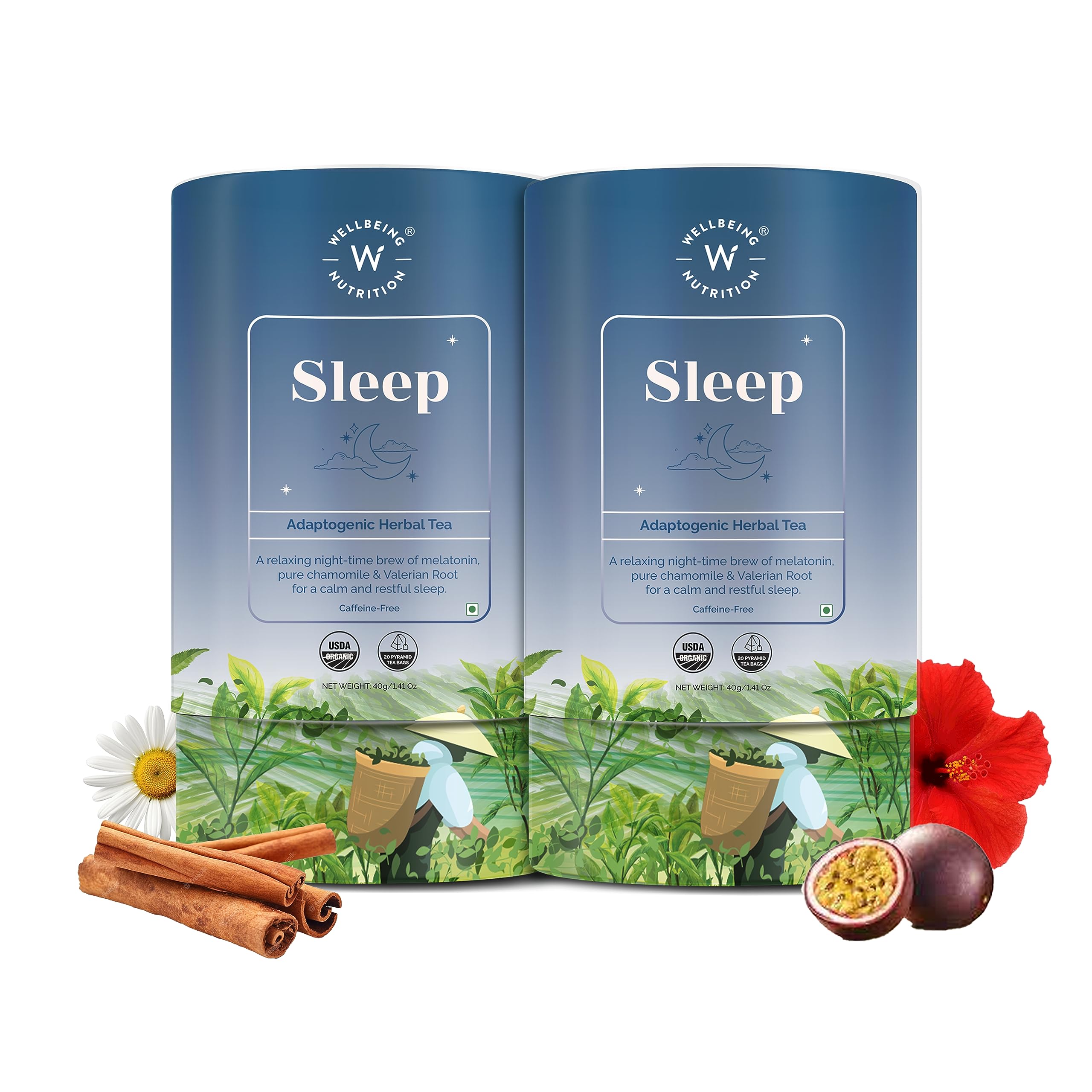 Wellbeing Nutrition Sleep Tea | Caffeine Free Tea Bags for Insomnia & Stress Relief, Relaxation and Improved Sleep Quality | 5mg Melatonin, Chamomile, Valerian Root, Lavender (40 Pyramid Tea Bags) (B0CCVCJR4Q) Amazon Price History, Amazon Price Tracker