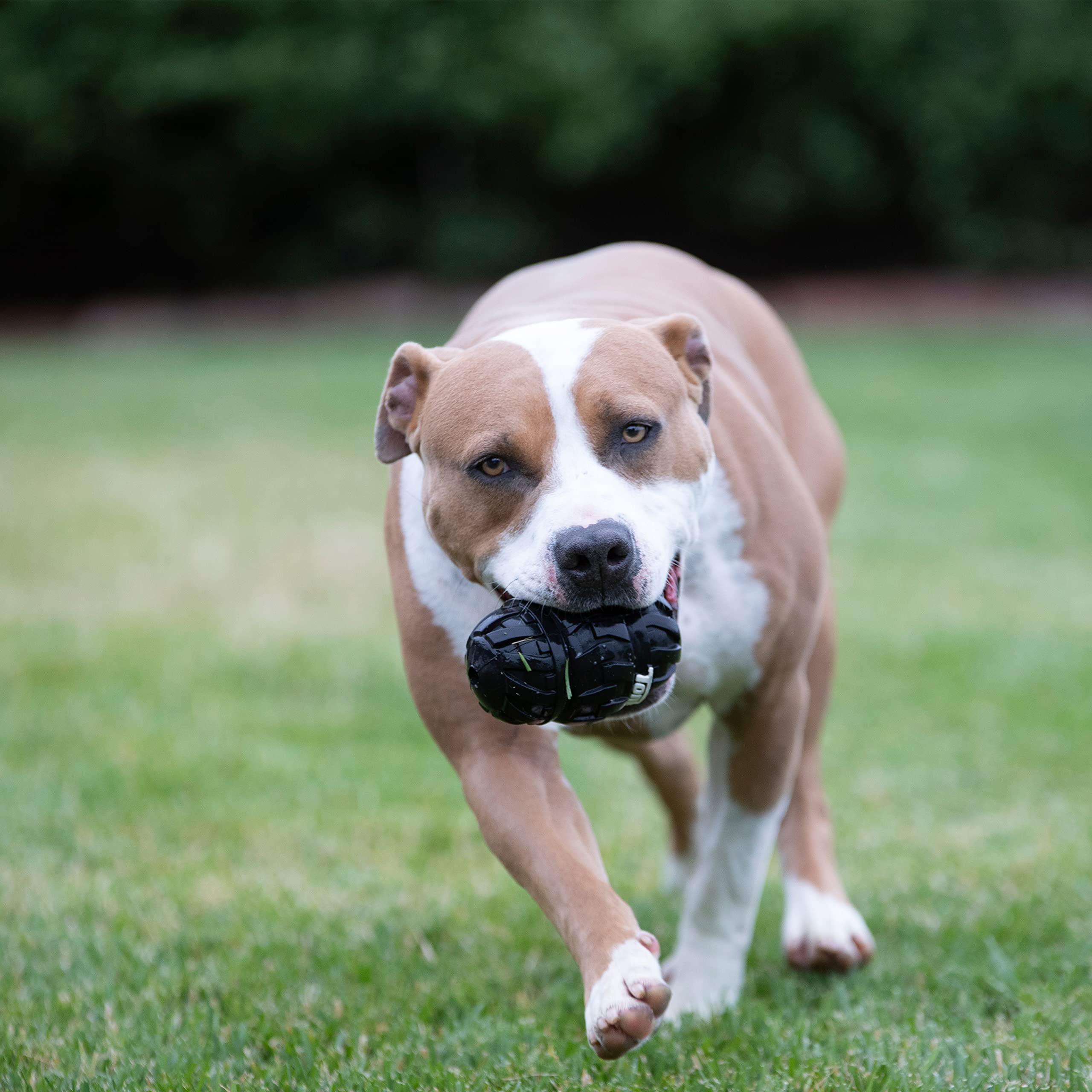 Amazon | Tonka トライスタック トレッドフィーダー 犬 おもちゃ 軽量