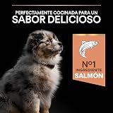 Ver la foto 6