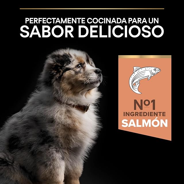 Foto 6 de 8 de Pro Plan Medium Puppy pienso perro Cachorro Derma piel sensible 4x3 kg
