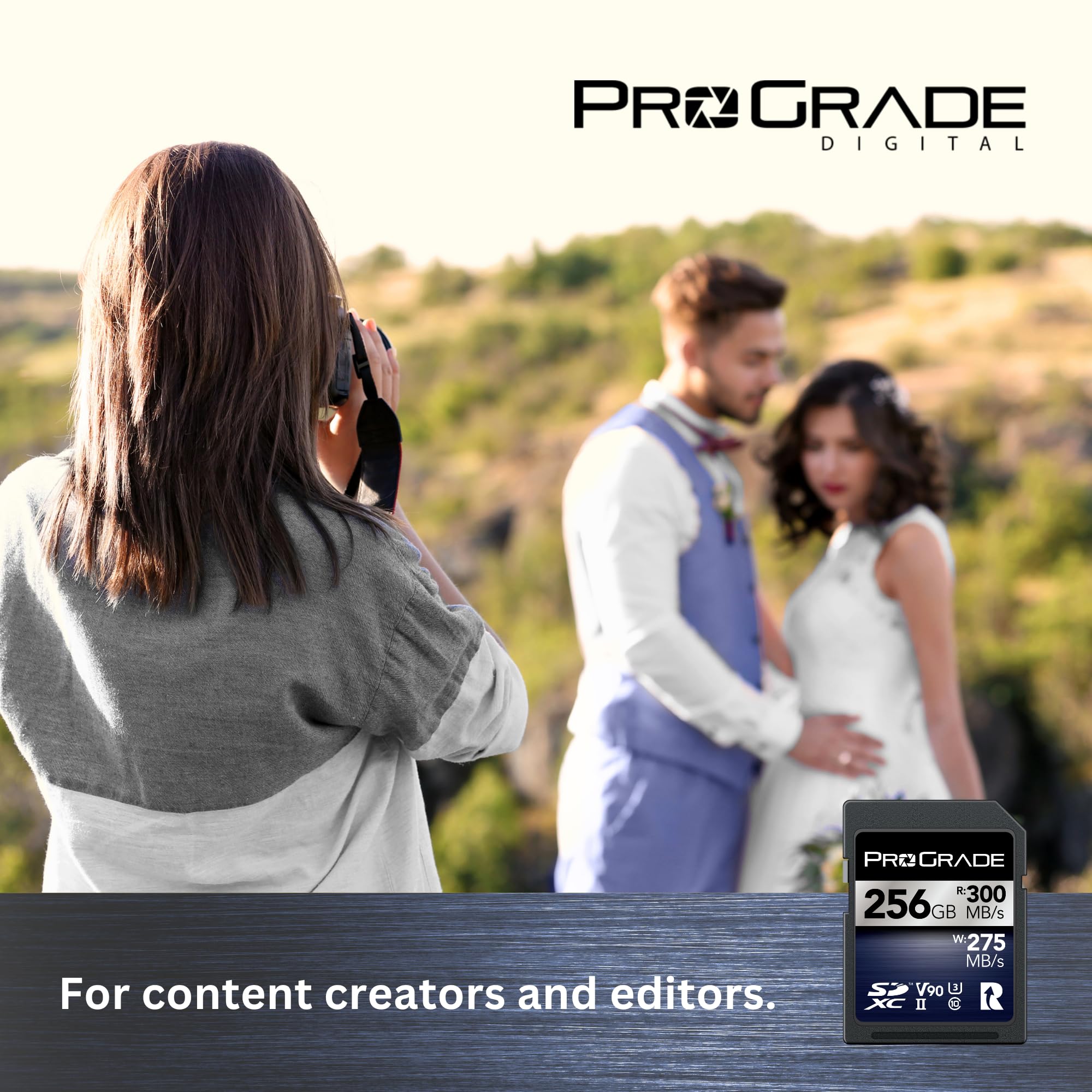 Carte Mémoire ProGrade Digital SDXC UHS-II V90 Iridium (256 Go)