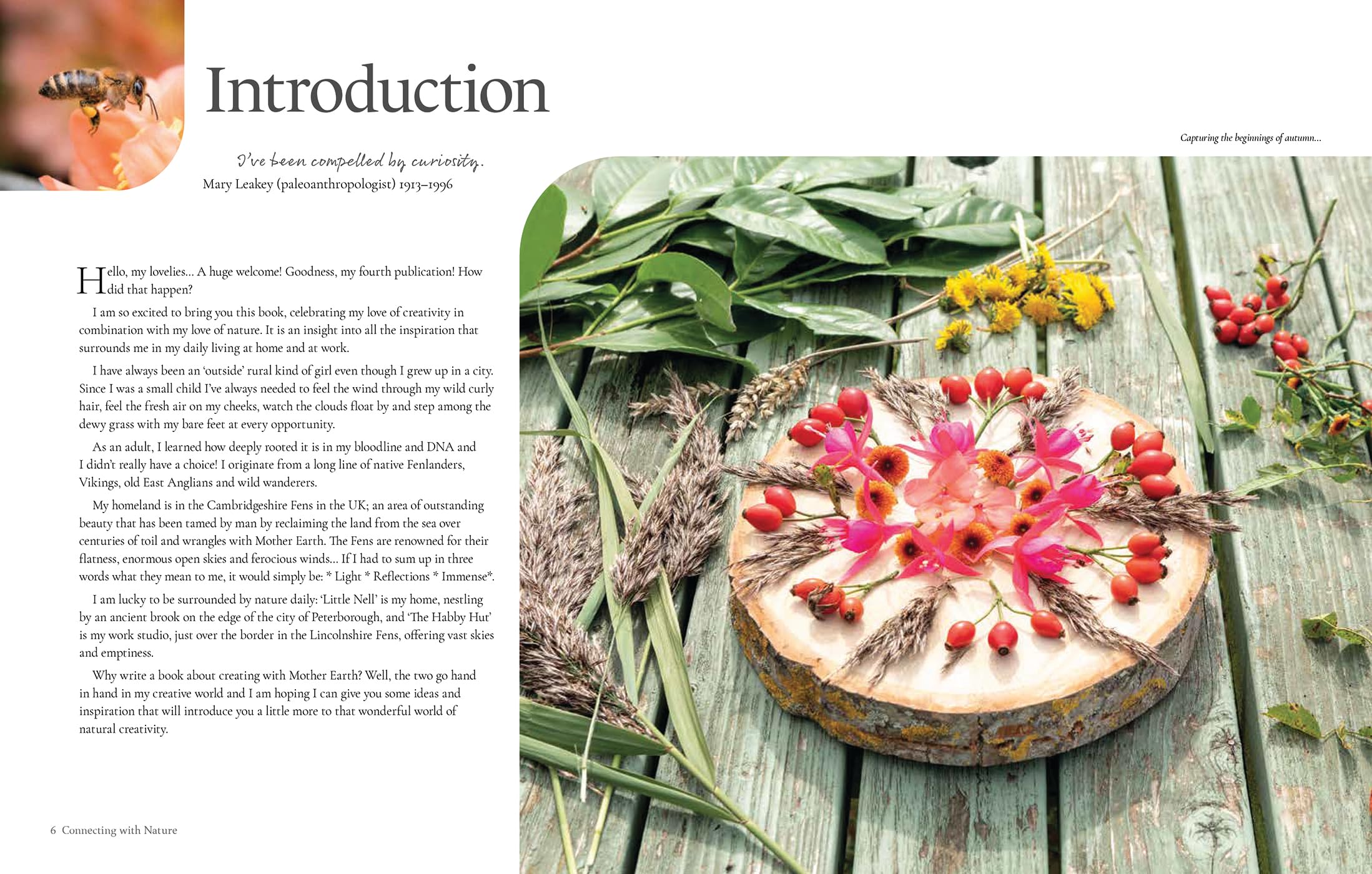 Connecting with Nature: Mindful Stitching and Textile Art Through the Seasons