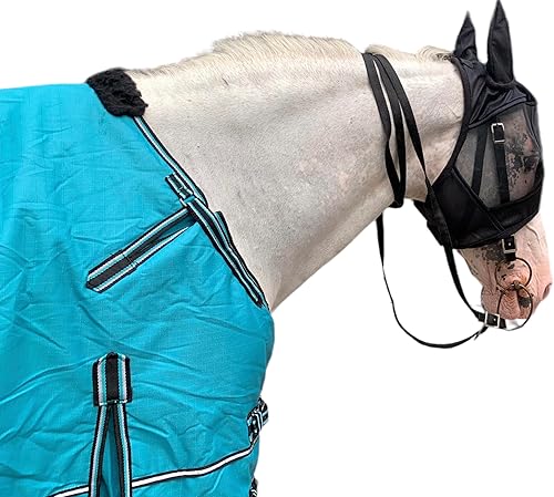 Miniatura 9 de Majestic Ally Manta 1200D Ripstop Horse Turnout de 250 GSM relleno (turquesa, 80 pulgadas)