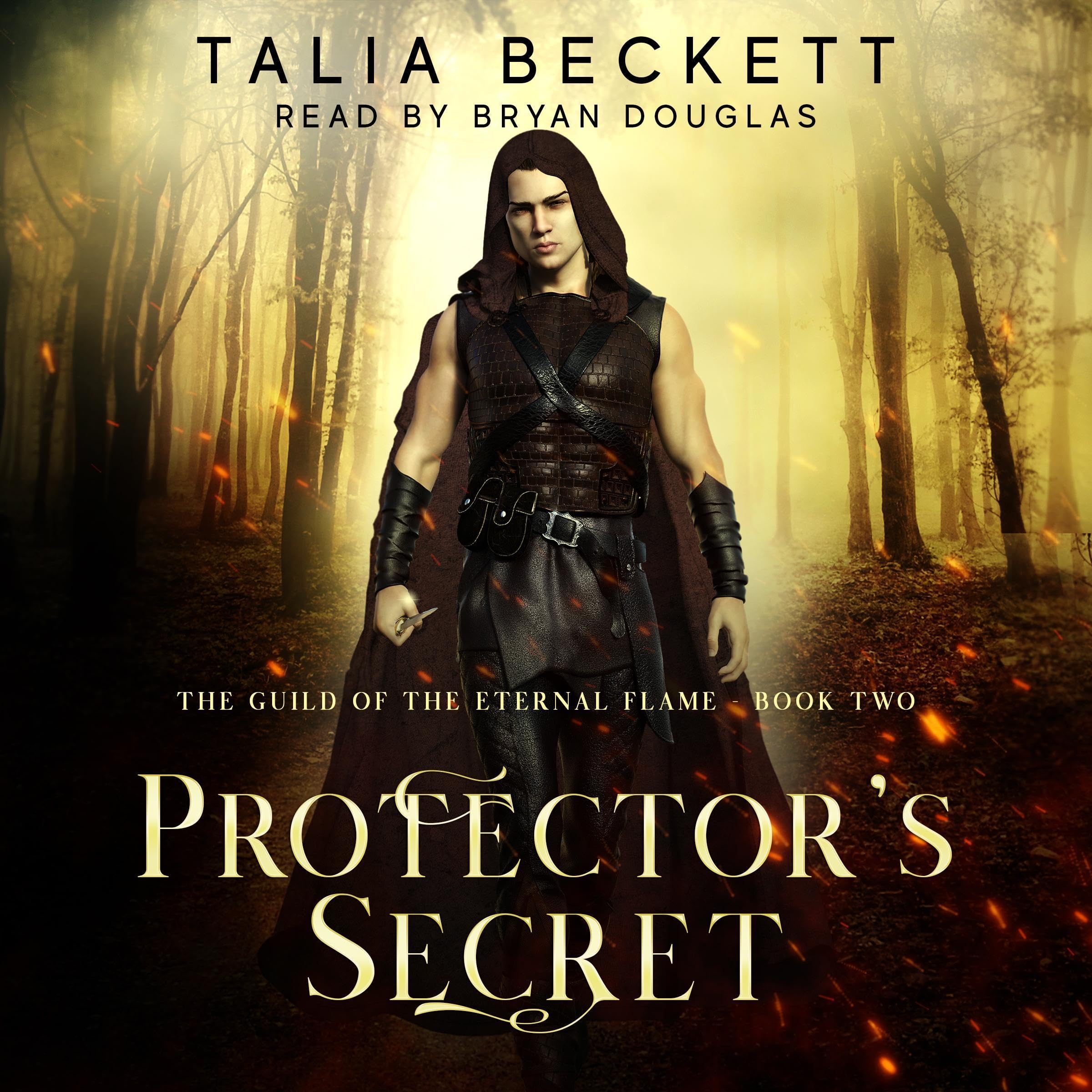 Cover art for Protector's Secret