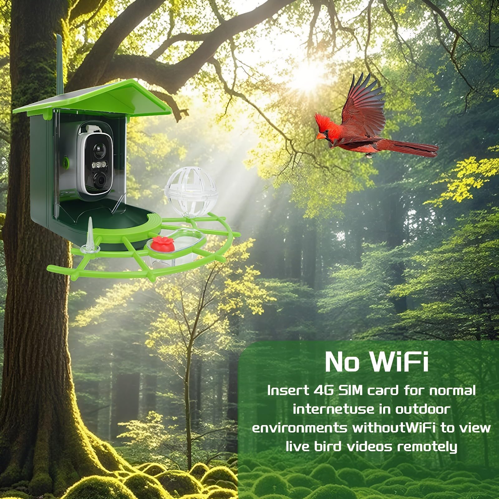 Comedero Pájaros Inteligente Solar 4G Cámara HD Reconocimiento IA 4MP Visión Nocturna 128GB Almacenamiento Estación Impermeable Conexión Celular para Jardín Bosque