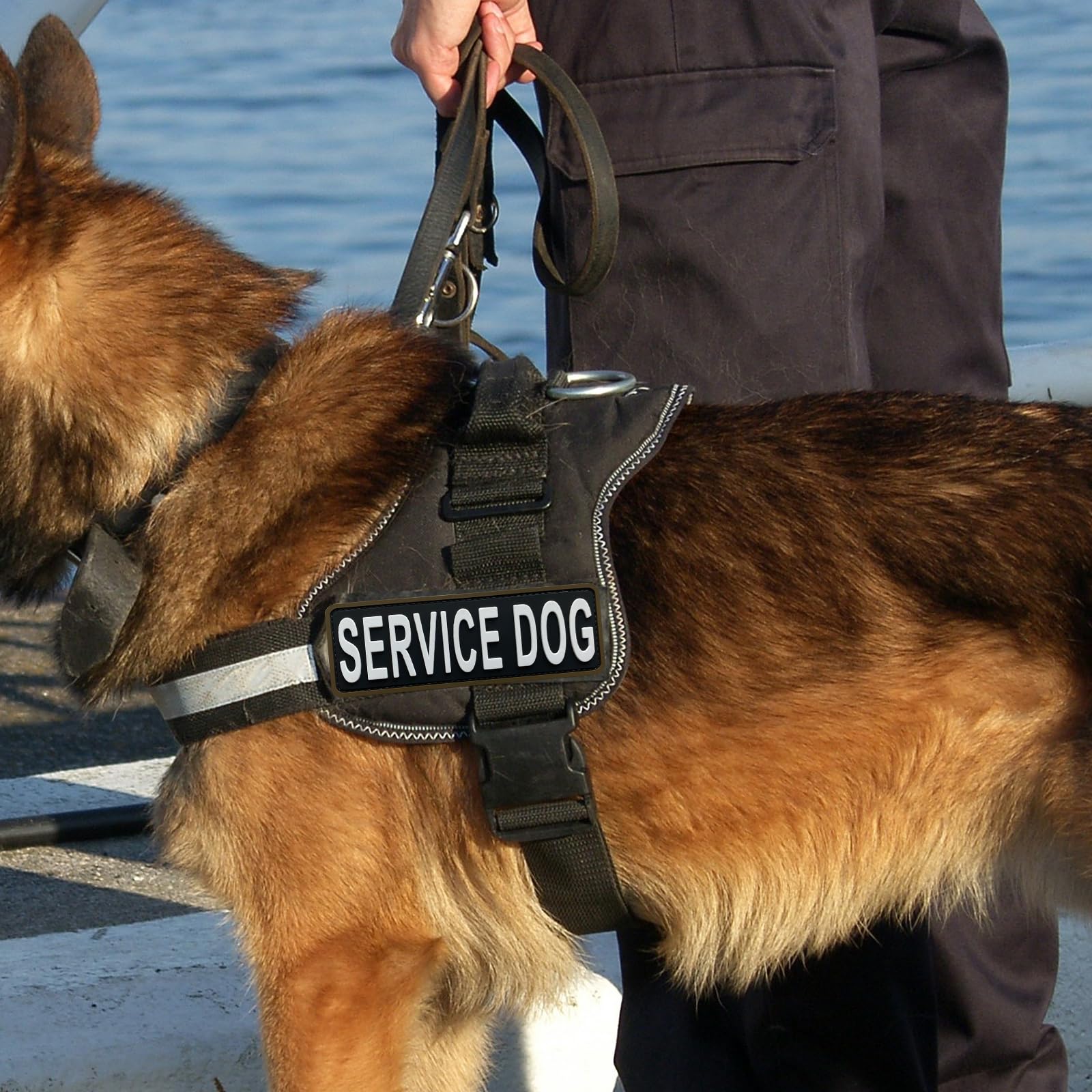 Service Dog Patch PVC 15,2 X 5,1 Cm – Mit Klettrücken Für Westen, Geschirr & Halsbänder, Schwarz-grau, Waschbar