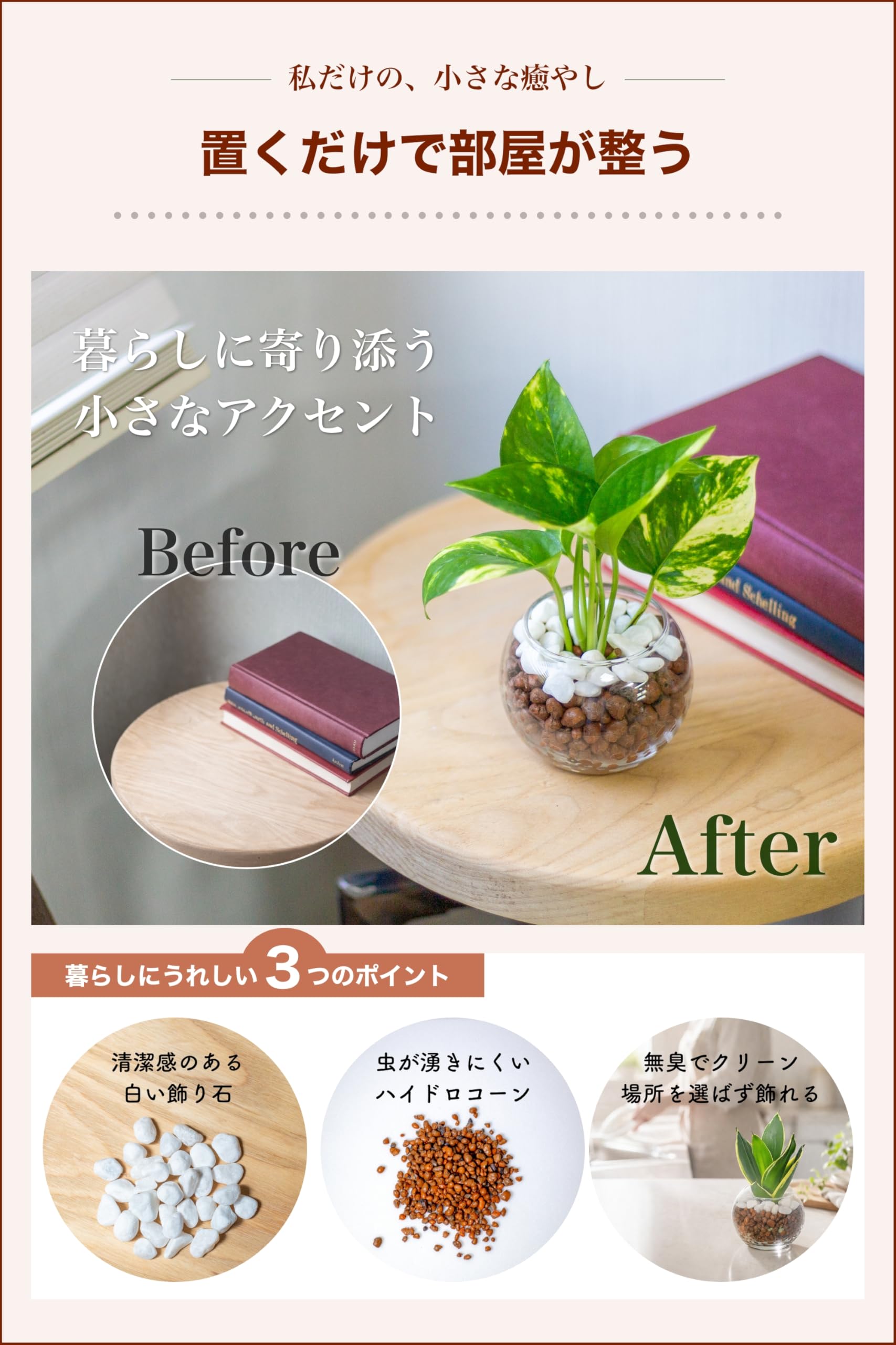 Amazon｜[ miipas ] ポトス 観葉植物 本物 ハイドロカルチャー ミニ