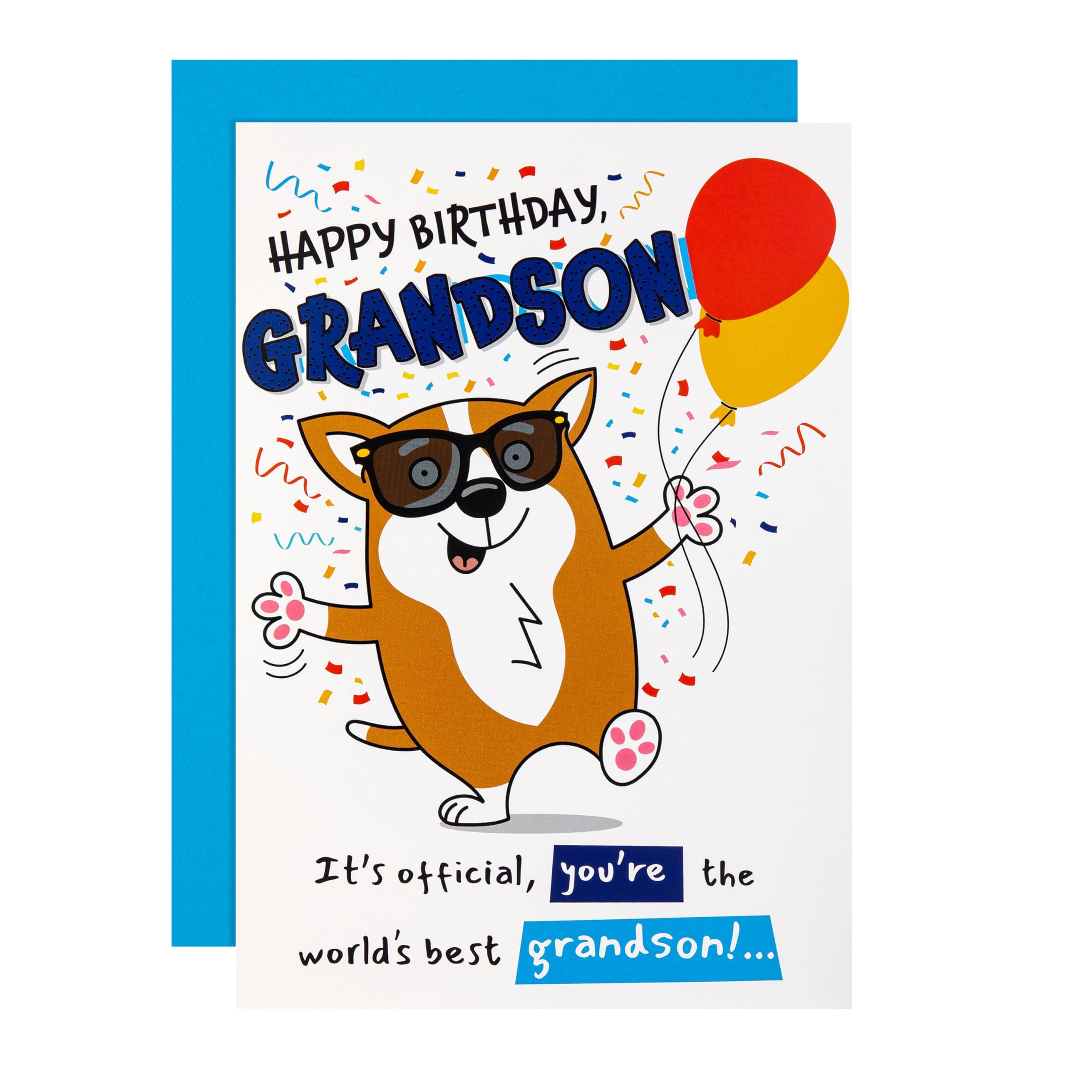 Hallmark Blue Birthday Card For Grandson - Funny Pop-Up Dog & Sunglasses Design