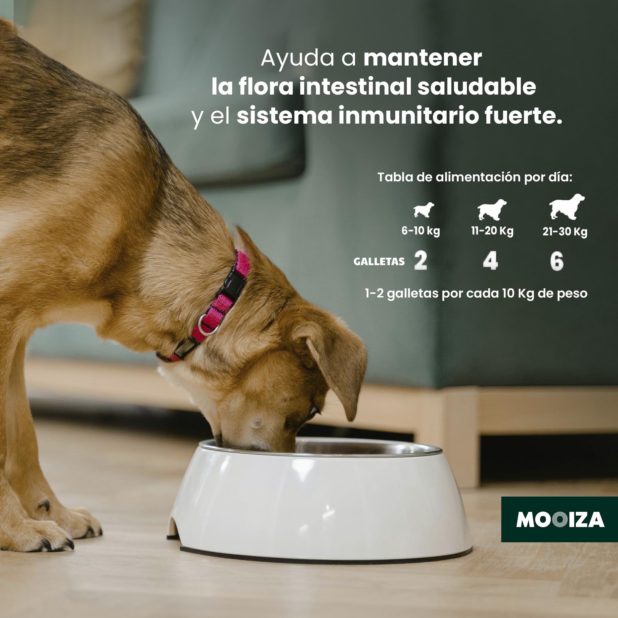 Prebiotici naturali per cani e gatti con Spirulina + Psyllium e carbone vegetale attivato - supporto flora intestinale - integratore nutrizionale per immunità digestiva in formato biscotti 300g |