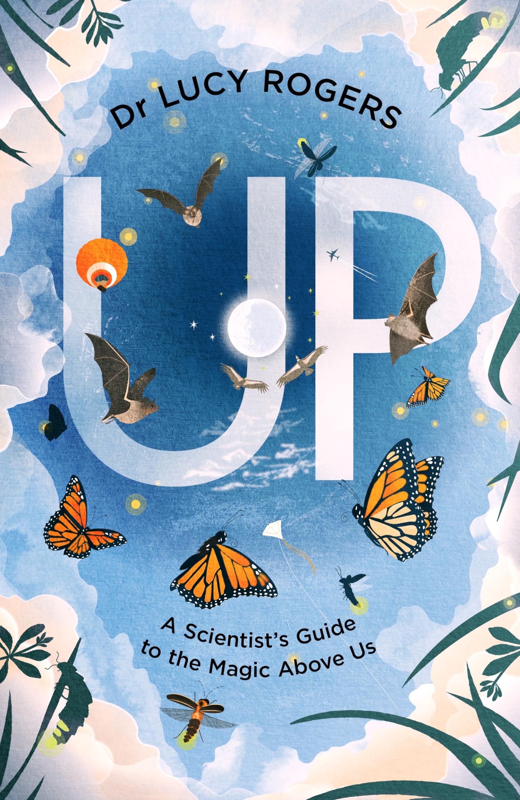 Up : A scientist's guide to the magic above us