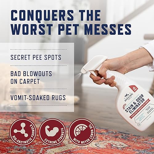 Rocco & Roxie Extreme Stain & Odor Eliminator for Strong Odor, Pet Urine Enzyme Cleaner Destroyer, Stain Remover, Dog Poop and Cat Pee, Enzymatic Carpet Cleaner Spray for Home, Puppy Potty Training(Light Lemon,32 Fl Oz (Pack of 1))