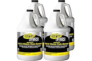 RM Referbishment's Mold Remover Kills and Removes Mold