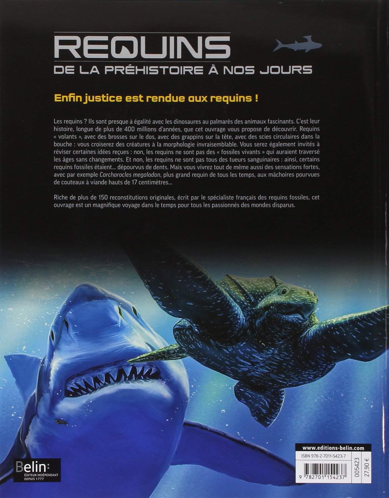 REQUINS: De la préhistoire à nos jours