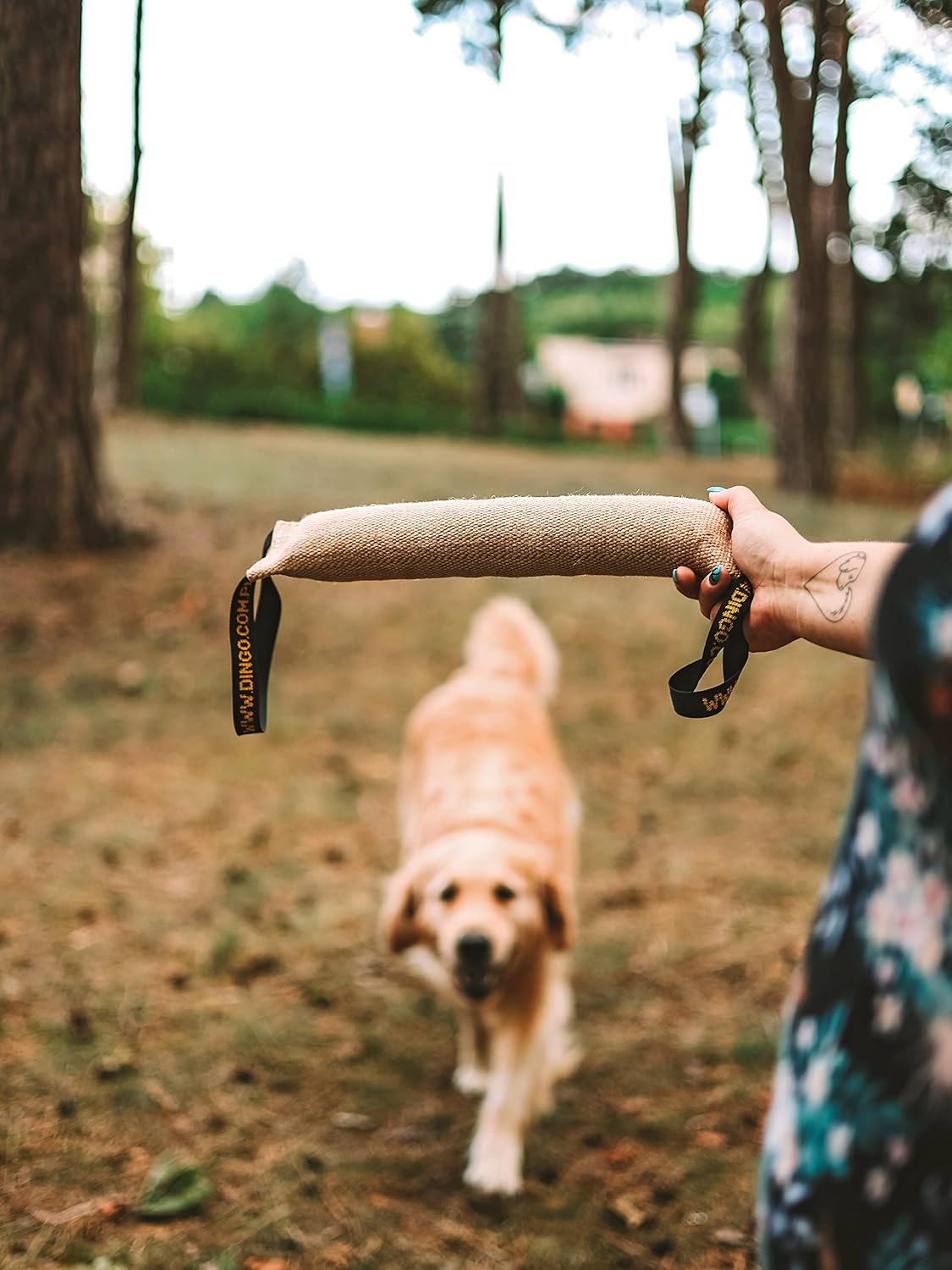 DINGO Jute Tug Toy Reinforced 2 Handles Pull Rope... 26 DINGO Jute Tug Toy Reinforced 2 Handles Pull Rope...