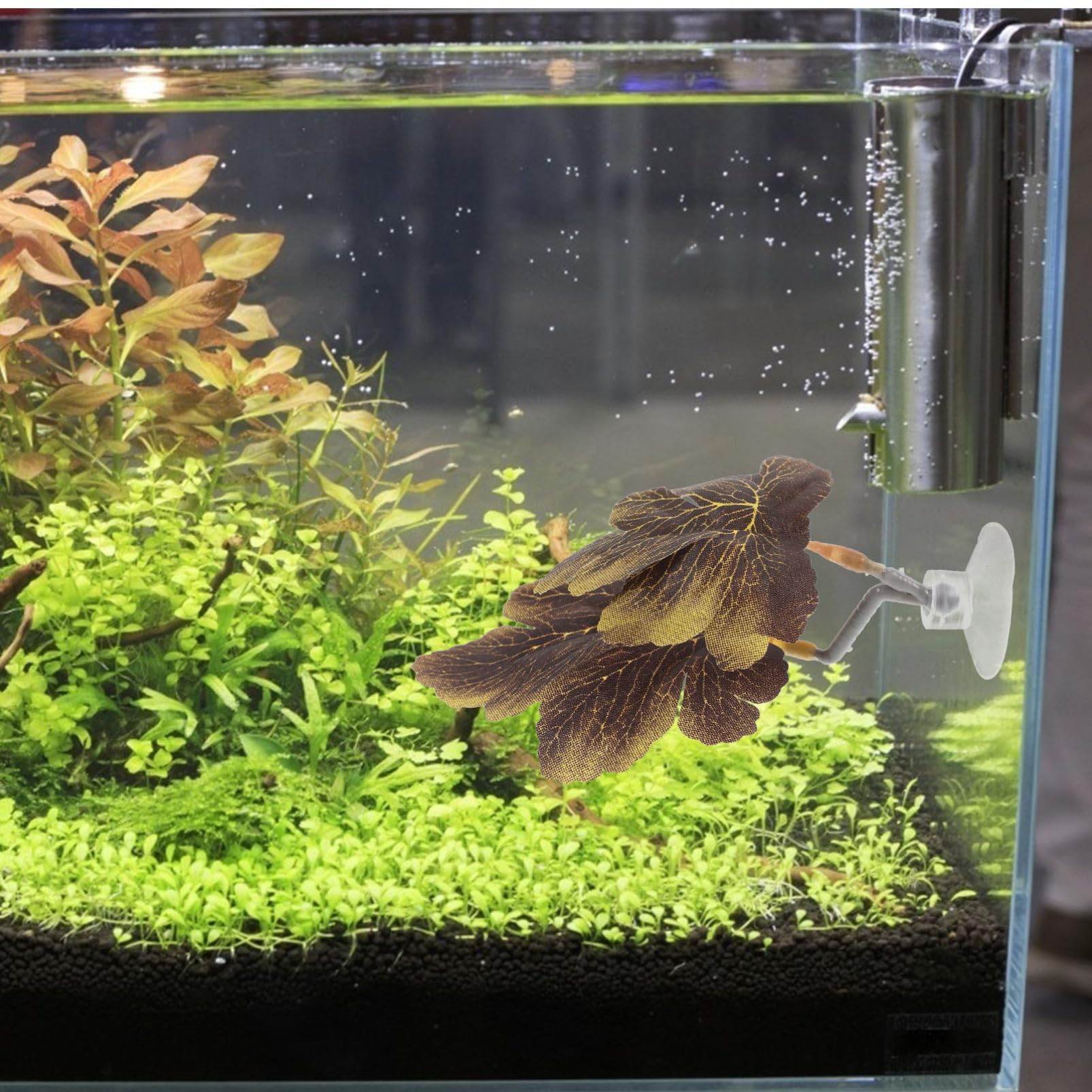 Beaupretty Ornement De Réservoir pour Betta De Imitant Plantes Aquatiques avec Ventouse pour Aquarium Décoratif Et Sécurité Poissons