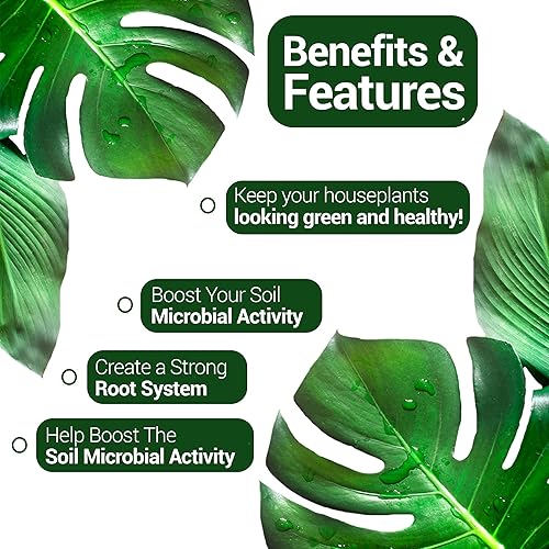 Miniatura 3 de Elm Dirt Kelp Mist - Aerosol para plantas 100% orgánico, espray foliar para plantas, alimentos, plantas de interior y alimentos para plantas de