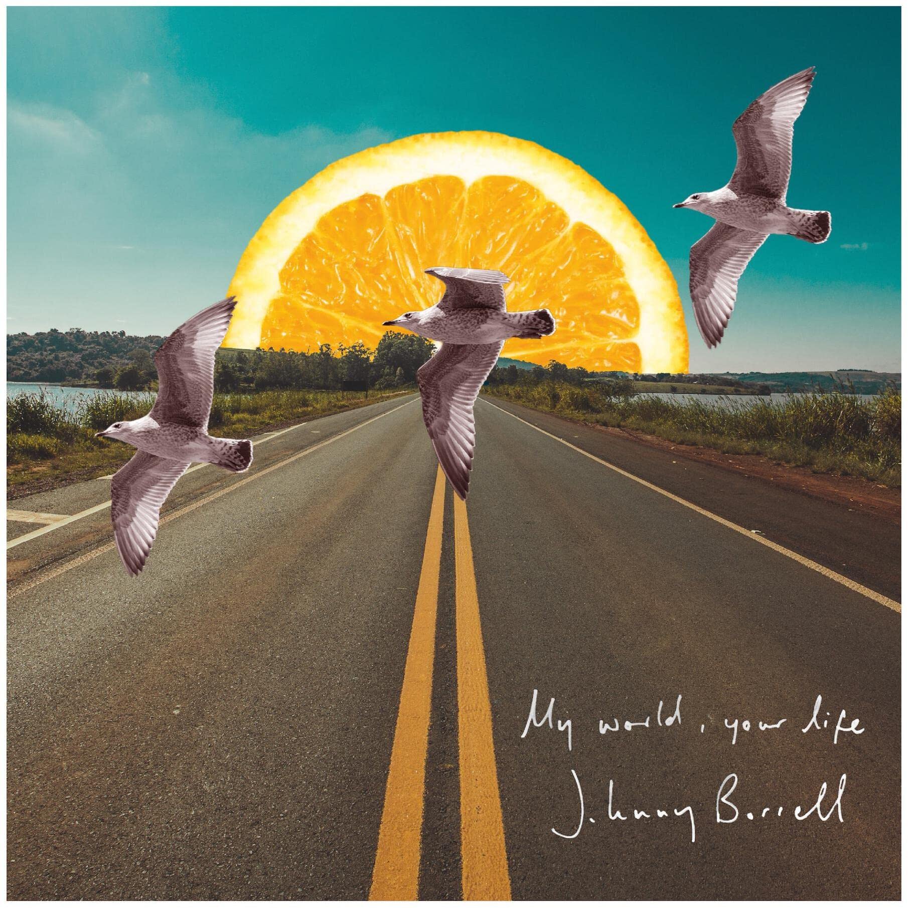 My World, Your Life (7") [7" VINYL]