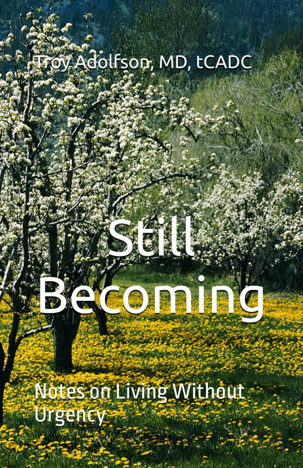 Still Becoming: Notes on Living Without Urgency