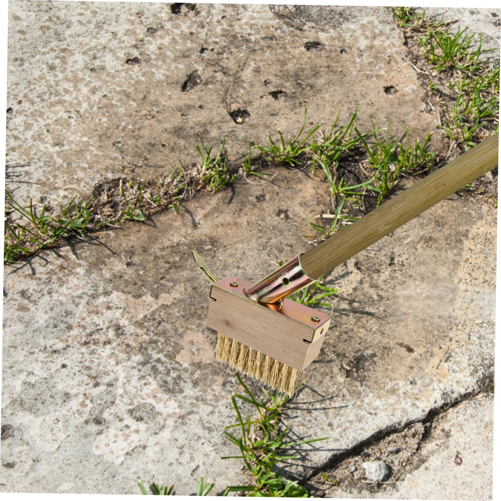 UPKOCH 5 Piezas cepillo de deshierbe cerda césped Eliminación exterior cable bloquear removedor de alambre de acero de jardinería cepillo para quitar musgo de madera Khaki
