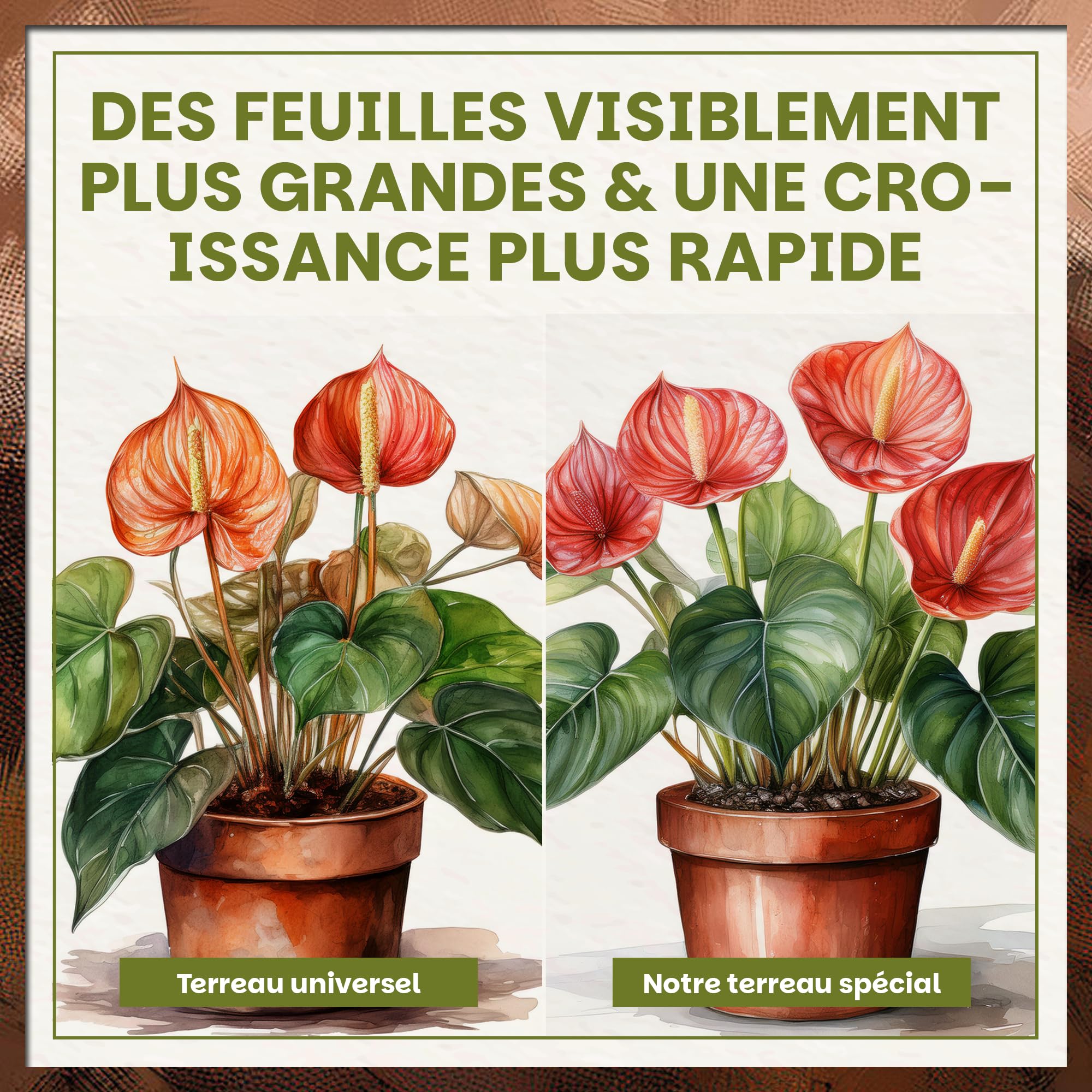 Green Home Terreau Aroides 72L – Substrat pour Monstera, Philodendron & Plantes Tropicales – avec Perlite pour Un Drainage Optimal – pour bonsaïs, Palmiers & orchidées