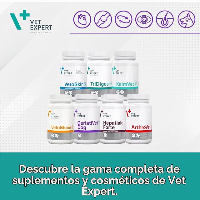 Foto 8 de 8 de VetExpert GeriatiVet Dog - por la vitalidad del Perro. para Perros pequeños de hasta 15 kg de Peso