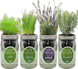 Environet Hydroponic Herb Growing Kit Set, Self-Watering Mason Jar Herb Garden Starter Kit Indoor, Grow Your Own Herbs From Seeds (Lavender, Rosemary & Basil