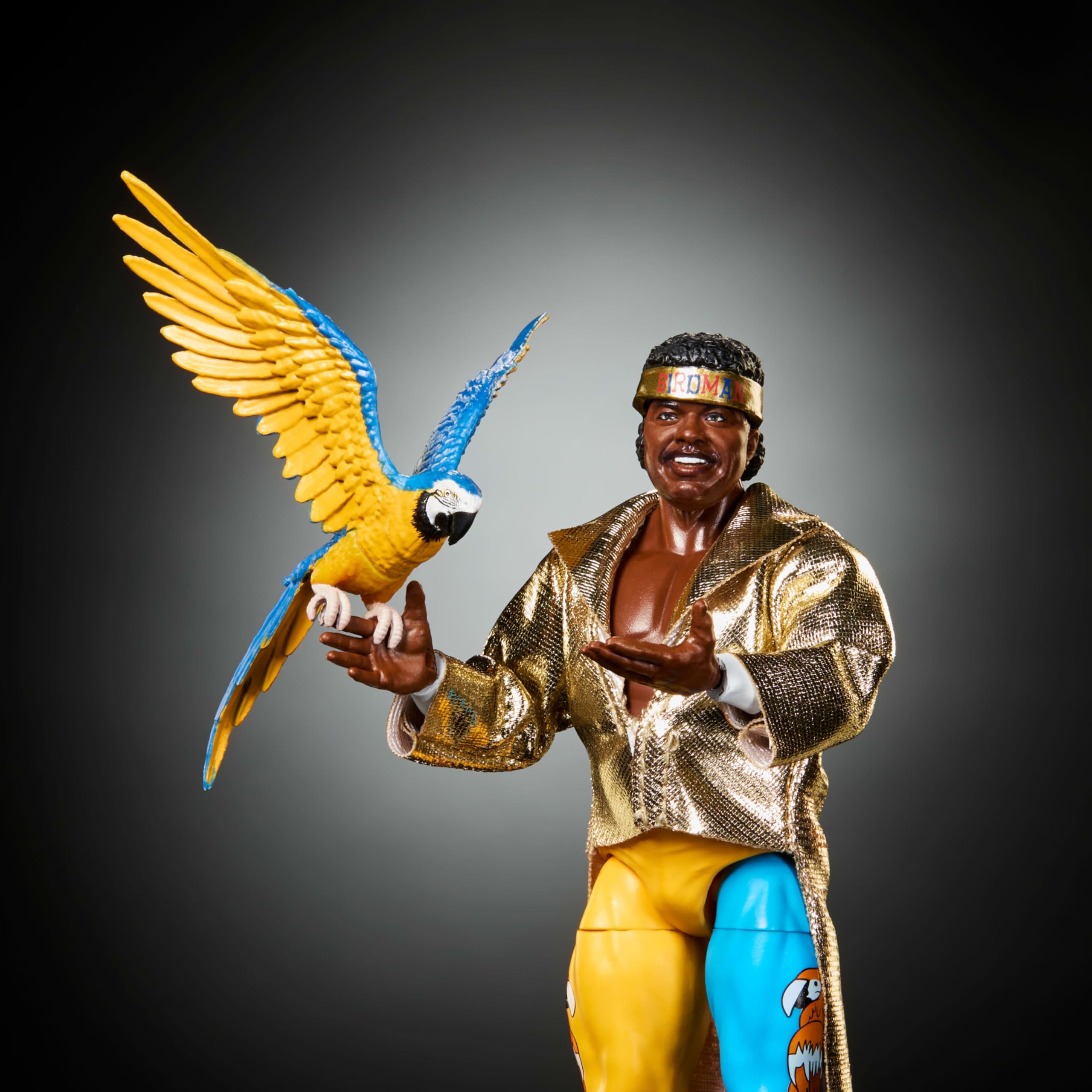 Amazon.com: Mattel WWE Elite Action Figure & Accessories, Series