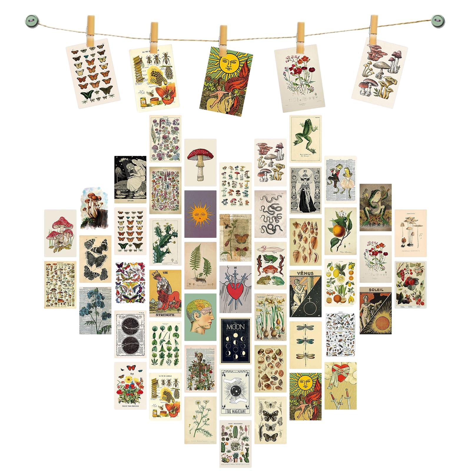 50Pcs Vintage Wall Collage Kit, 4×6 Inch Vintage Botanical Wall Collage