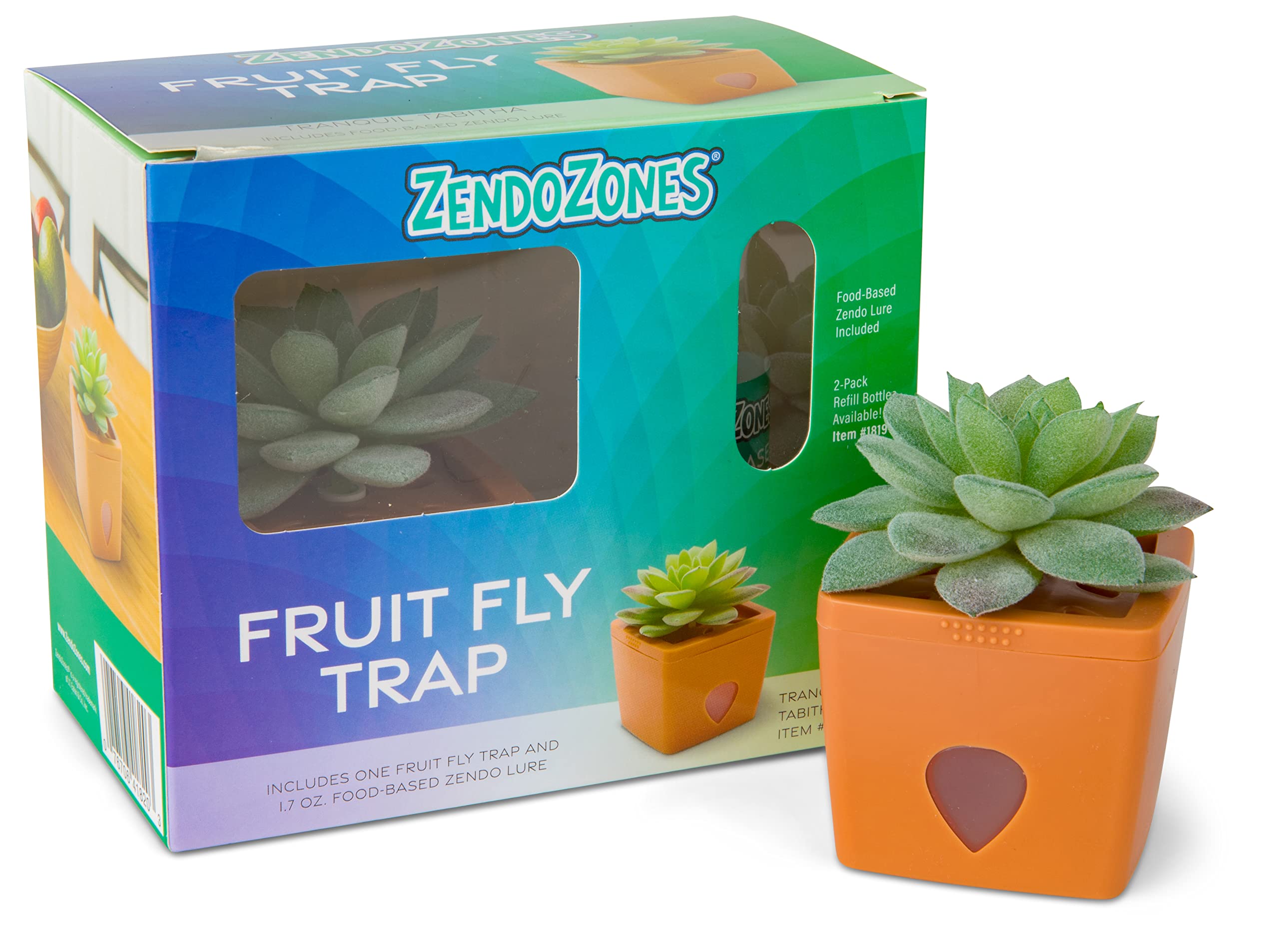 Amazon.com : ZendoZones Succulent Fruit Fly Trap – Tranquil