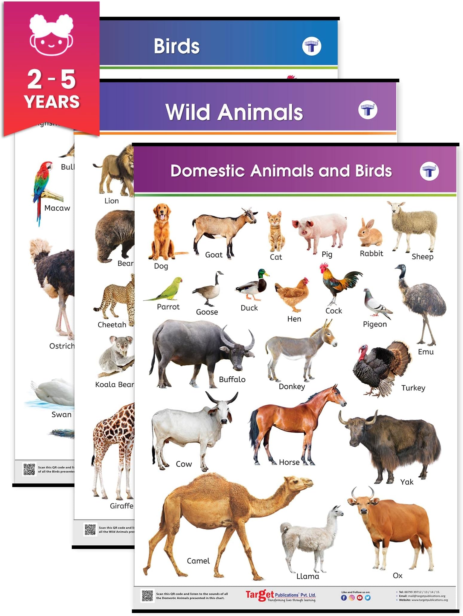 Domestic & Wild Animals & Birds Charts for Kids Age 2+ Years (72 x 49.5 cm) | 3 Charts | Educational Posters with Pictures | Preschool, Nursery & Kindergarten Wall Charts | Water Resistant