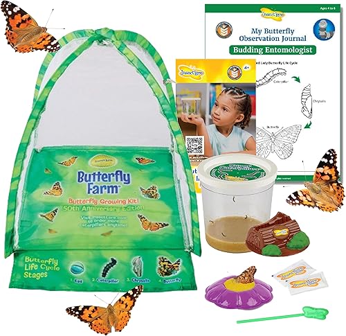 Vista 11 de Kit de jardín de mariposas Insect Lore con orugas vivas – Cría 10 mariposas Painted Lady - Actividad de aprendizaje STEM, hábitat con diario