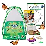 Insect Lore Butterfly Farm - Live Cup of 5 Caterpillars, Reusable Habitat, STEM Butterfly Activity Journal & Supplies - Grow, Observe and Release Painted Lady Butterflies