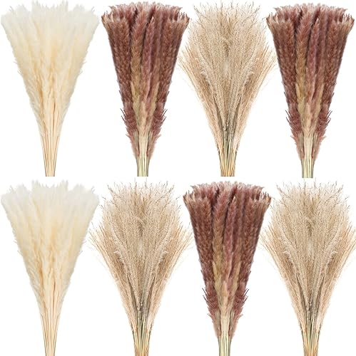 200 piezas de hierba seca de las pampas de 17 pulgadas, ramo de hierba pomposa esponjosa de caña seca natural, decoración bohemia, pampas marrones y