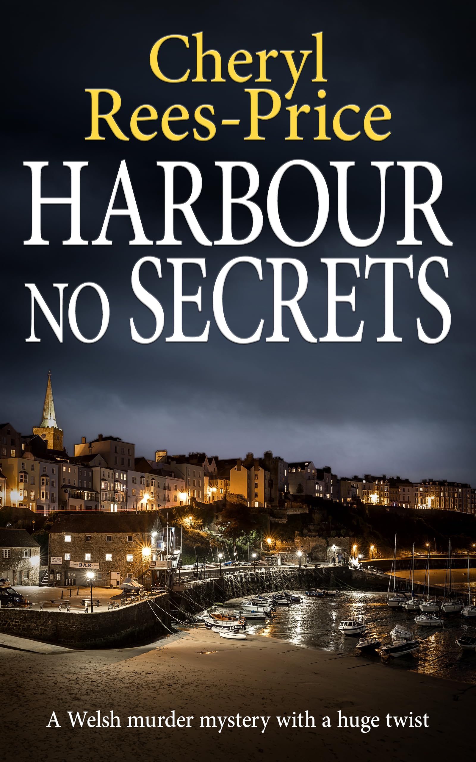 Harbour No Secrets: A Welsh murder mystery with a huge twist (DI Winter Meadows Book 8)