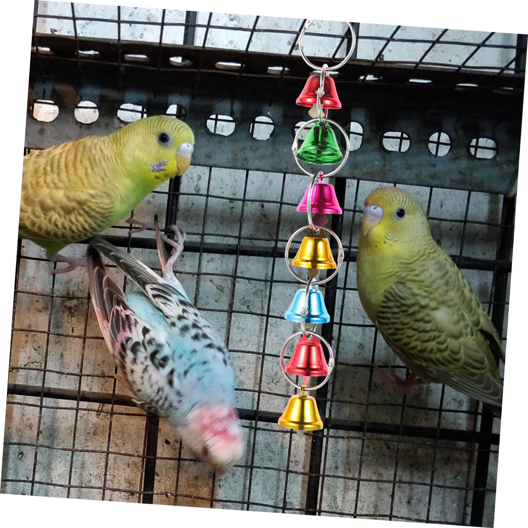 Yardwe 12piezas Campanas para Aves Juguetes Colgantes para Periquitos y Diversión para Decoración De Jaula y Juguetes De Masticar