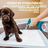 Ver la foto 3