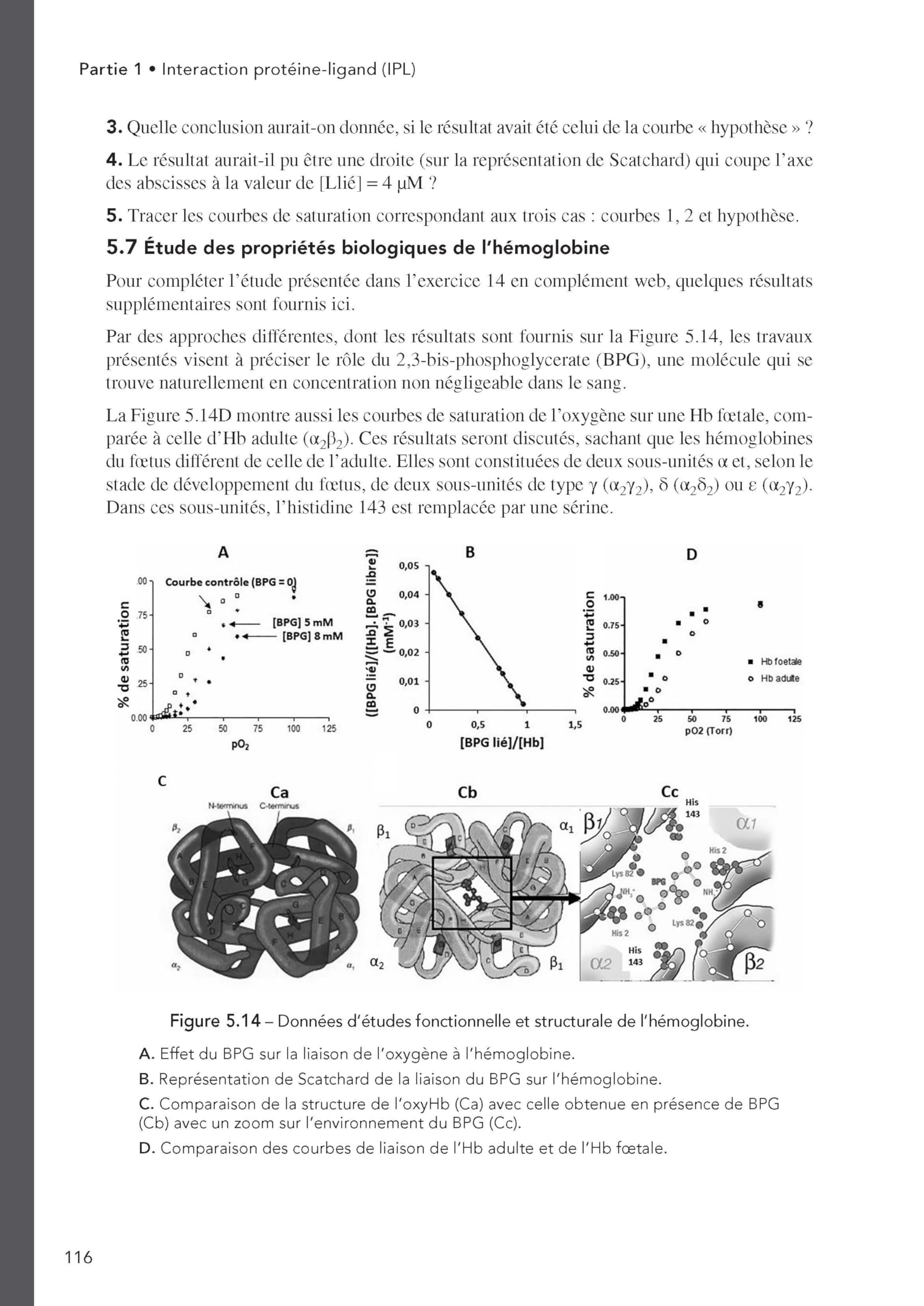 Biochimie fonctionnelle: Des interactions ligand-protéine à l'enzymologie