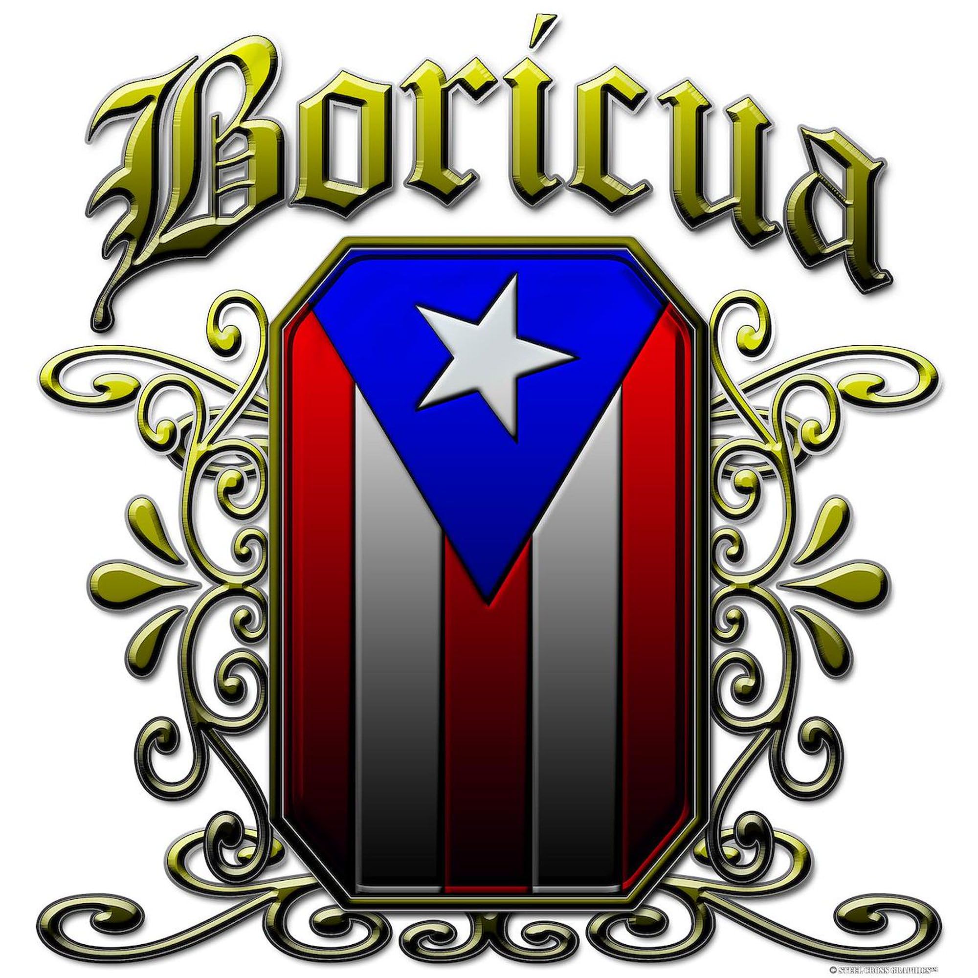 CafePress Boricua Patches 4