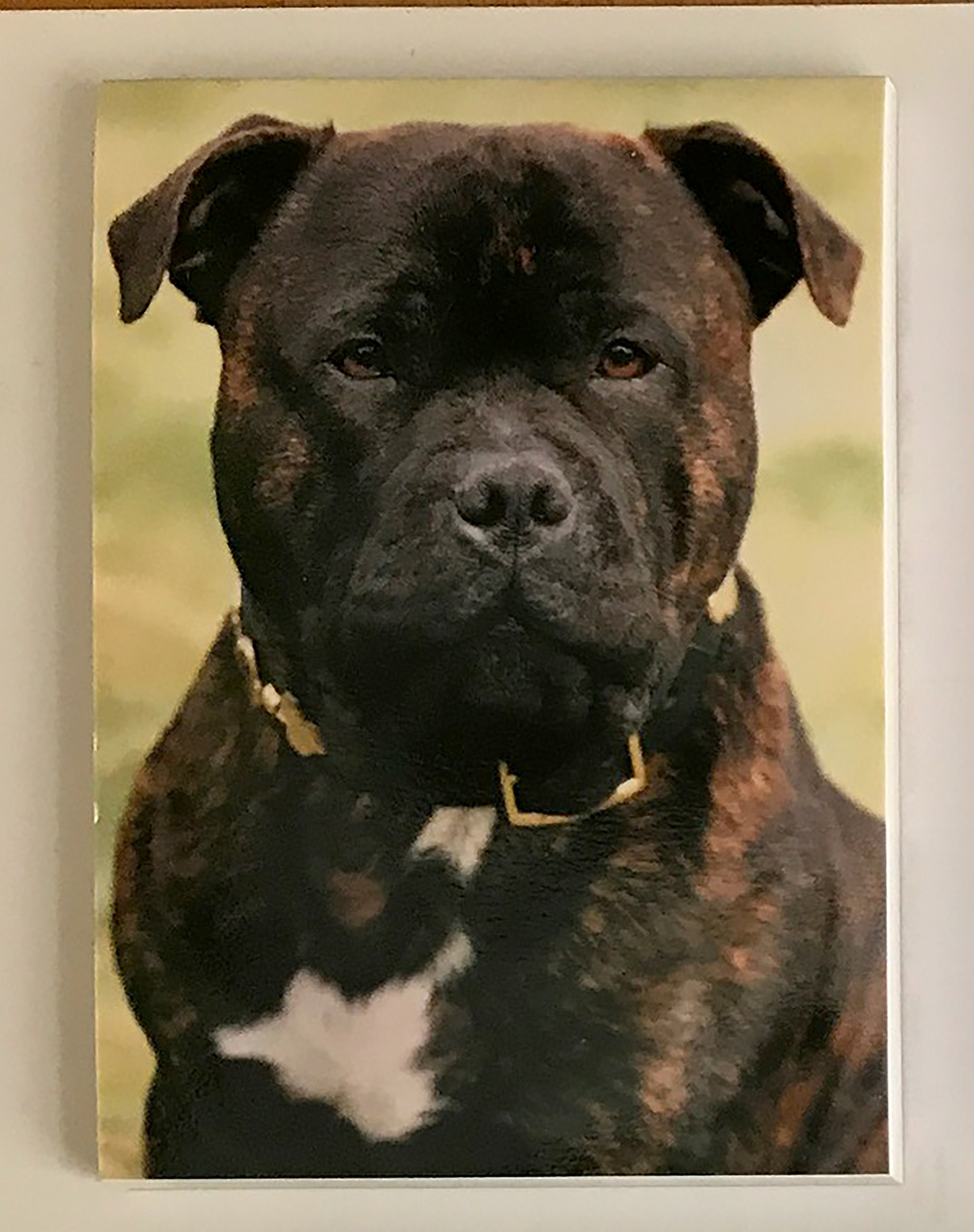 DWG Ltd Staffordshire Bull Terrier (Brindle) Magnetic Notepad/Shopping list, size 75mm x 100mm