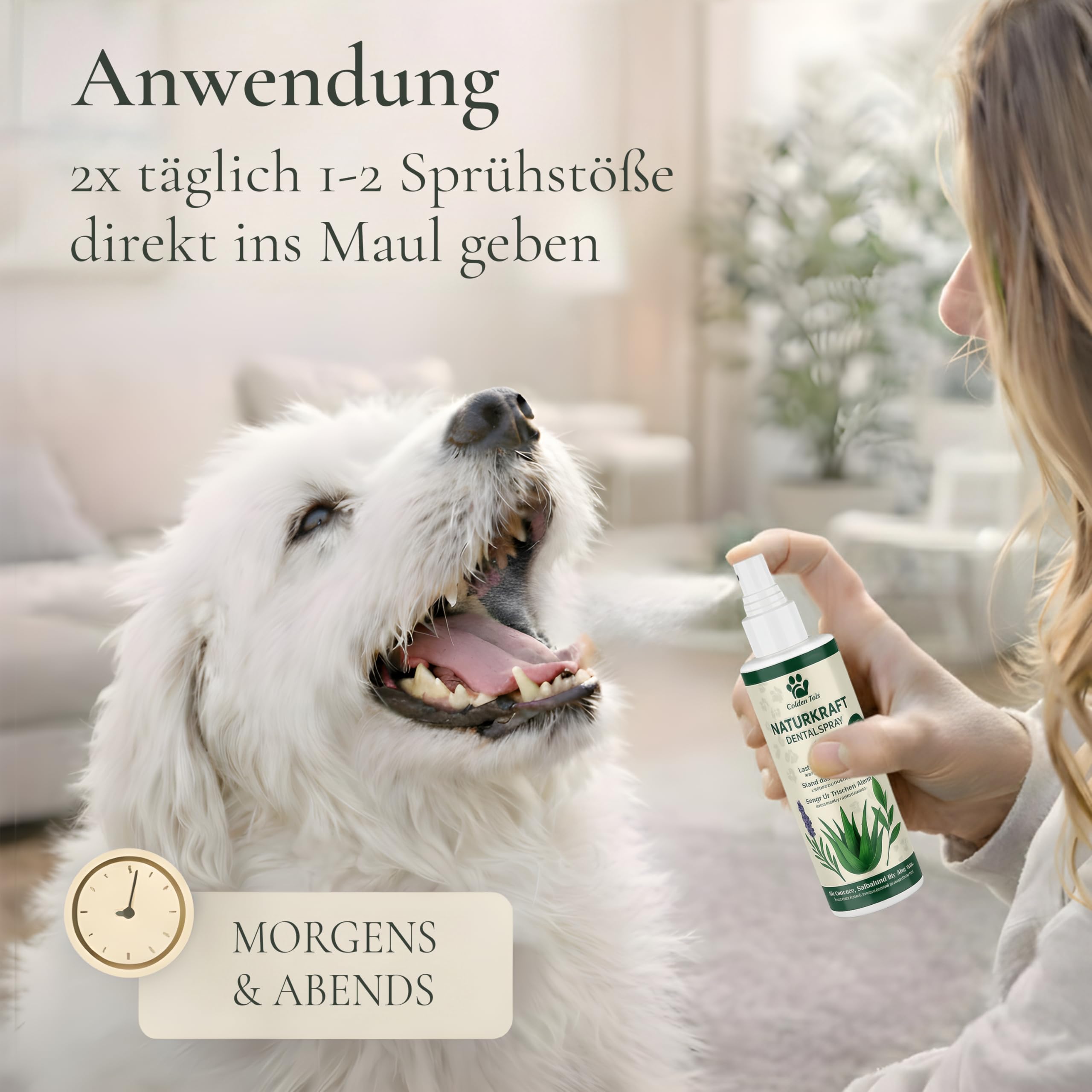 TESTNOTE SEHR GUT Dentalspray für Hunde & Katzen Mit BIO Aloe Vera, natürlichen Kräutern & Minze – Zahnspray Gegen Mundgeruch & Zahnstein Zahnfleischpflege 200 ml Golden Pets