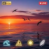 Ocean Seagulls at Sunset 4K – Coastal Ambience for Fire TV